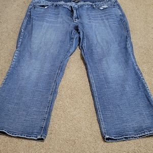 Lane Brant Bootcut jeans 28S
